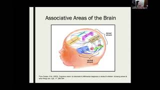 Who are the Children with CVI?