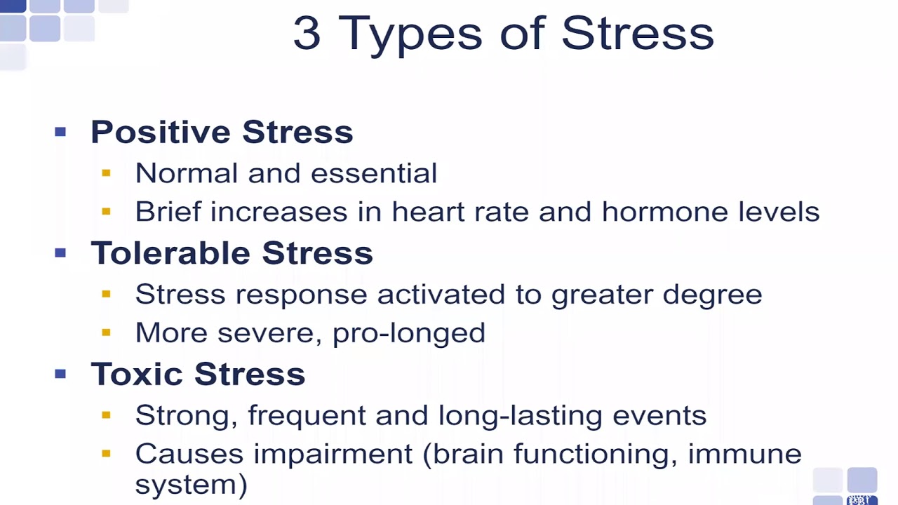 Self-Care: Understanding Stress and the Importance of Self-Care