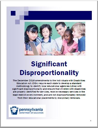 Significant disproportionality flyer